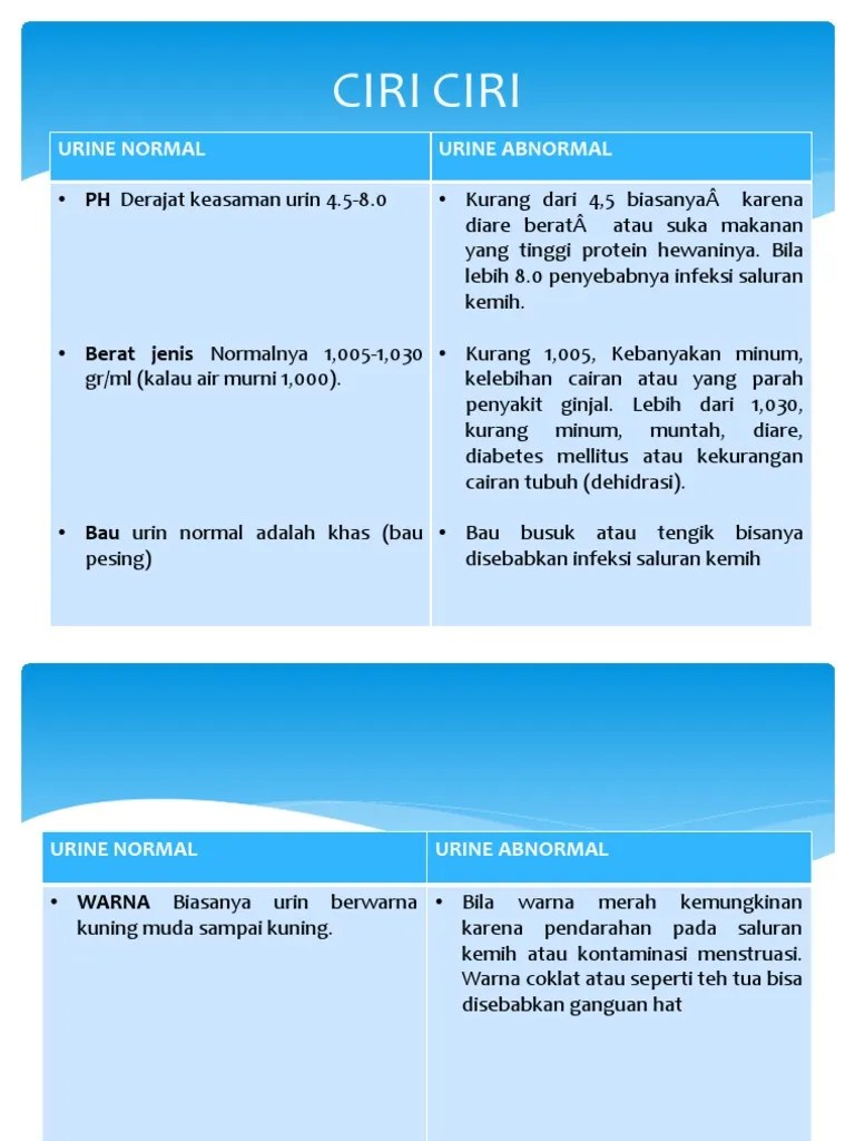 Ciri Ciri Urine | PDF