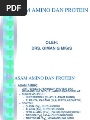 Asam Amino Dan Protein (Kimia Organ) | PDF