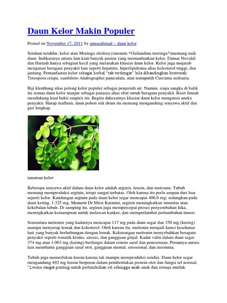 Daun Kelor Makin Populer | PDF