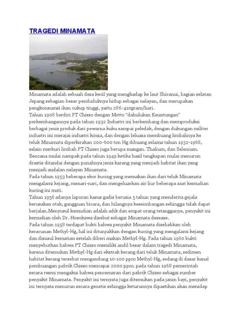 Tragedi Teluk Minamata | PDF
