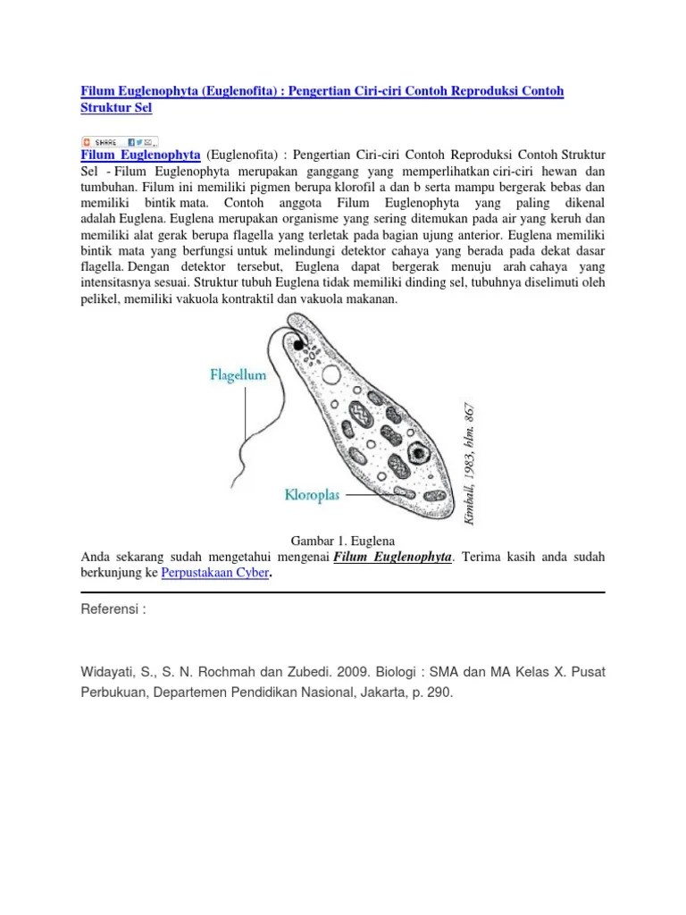 Filum Euglenophyta | PDF