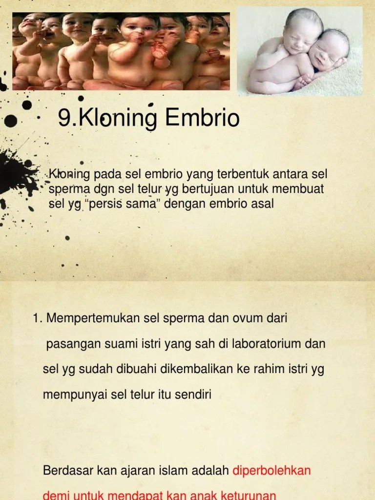 Kloning Embrio Agama | PDF
