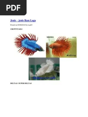 Assignment Ikan Laga | PDF