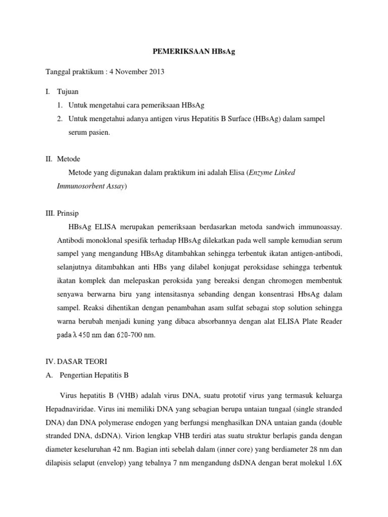 PEMERIKSAAN HBsAg | PDF