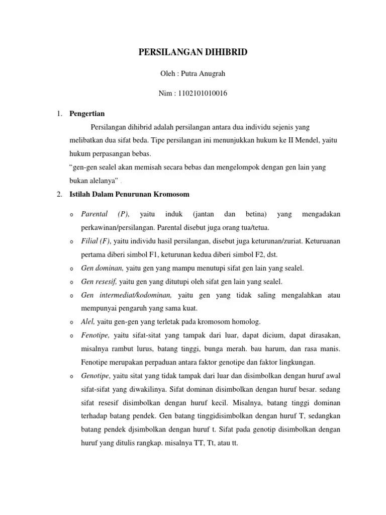 Persilangan Dihibrid | PDF