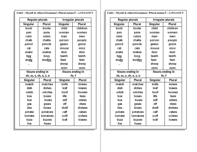 Plurals | PDF | Plural | Grammatical Number
