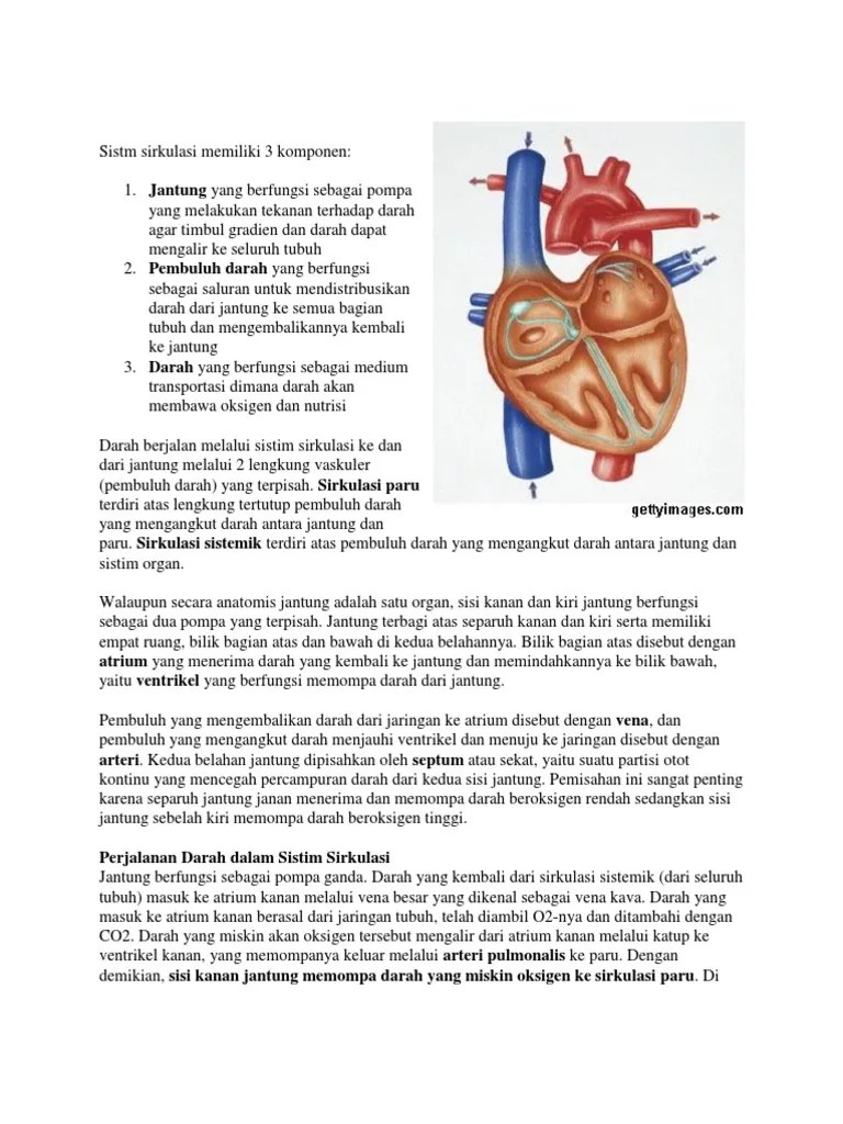 Cara Kerja Jantung | PDF