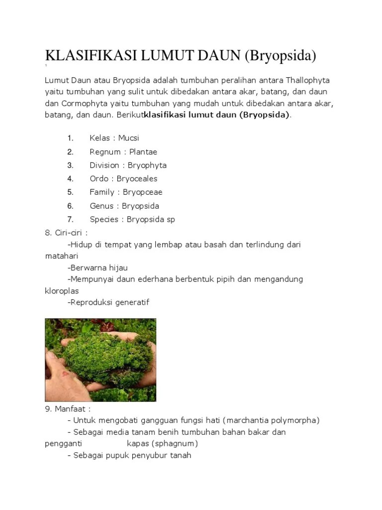 Klasifikasi Lumut Daun | PDF