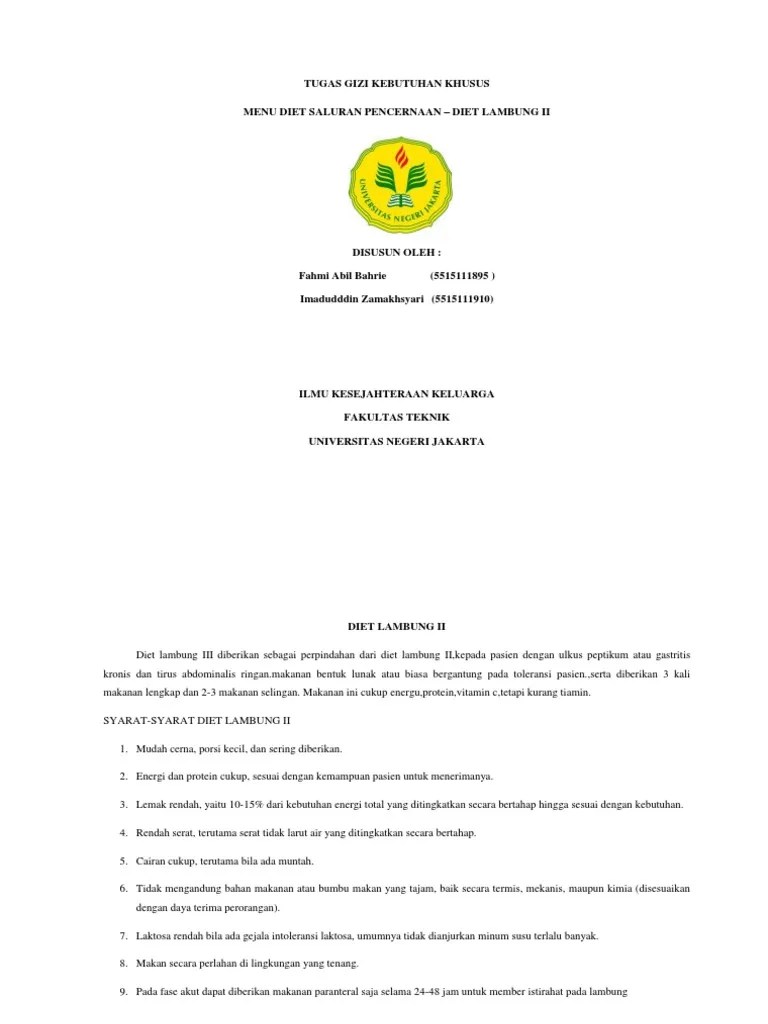 Diet Lambung Ii | PDF