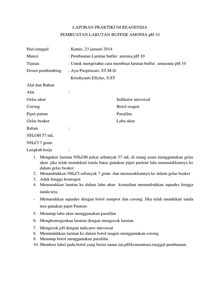 Laruan Buffer Amonia | PDF