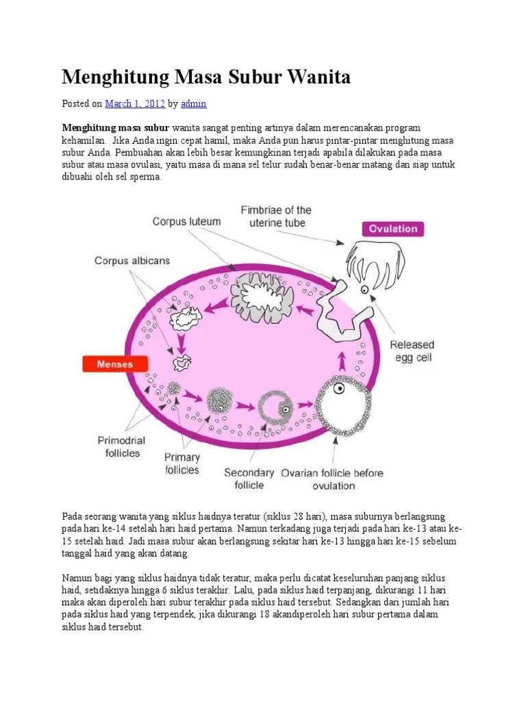 Menghitung Masa Subur Wanita | PDF