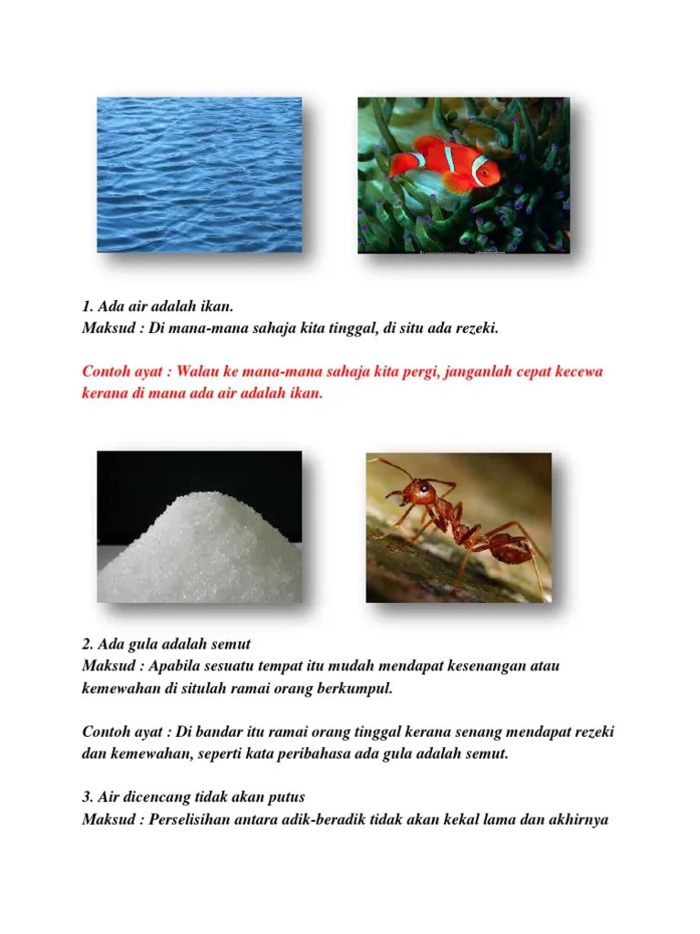 Peribahasa Semut Dan Gula