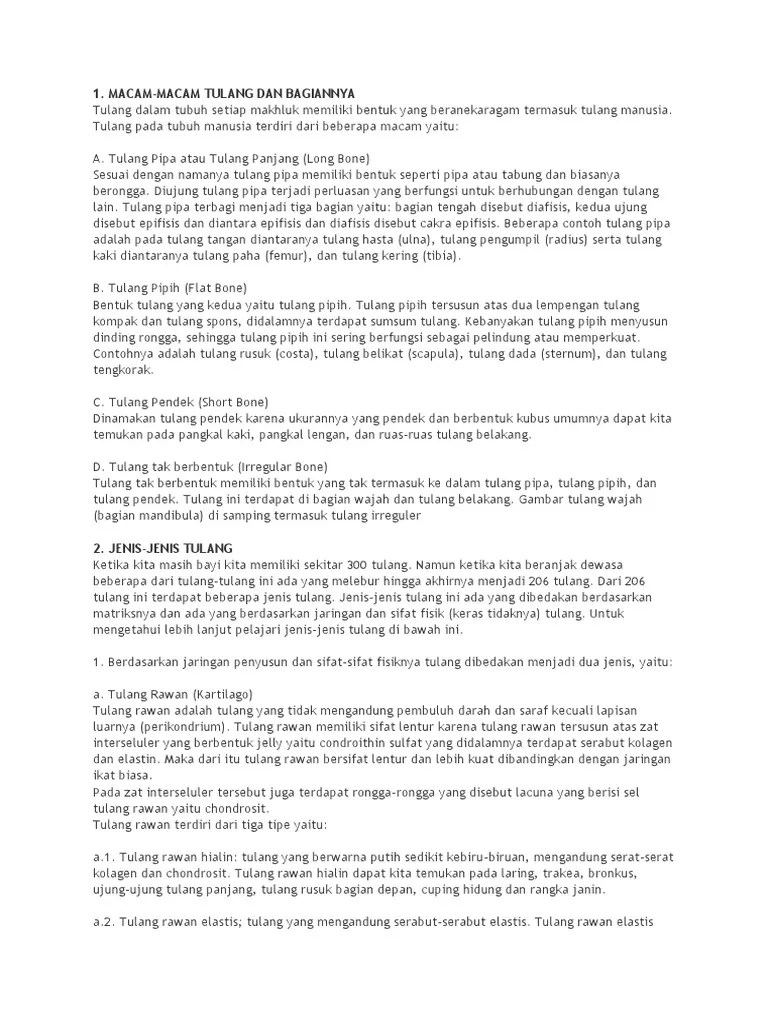 Anatomi Tulang | PDF