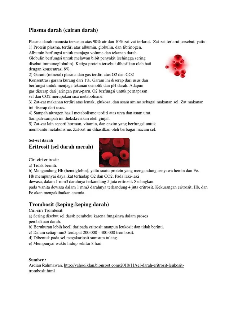 Plasma Darah