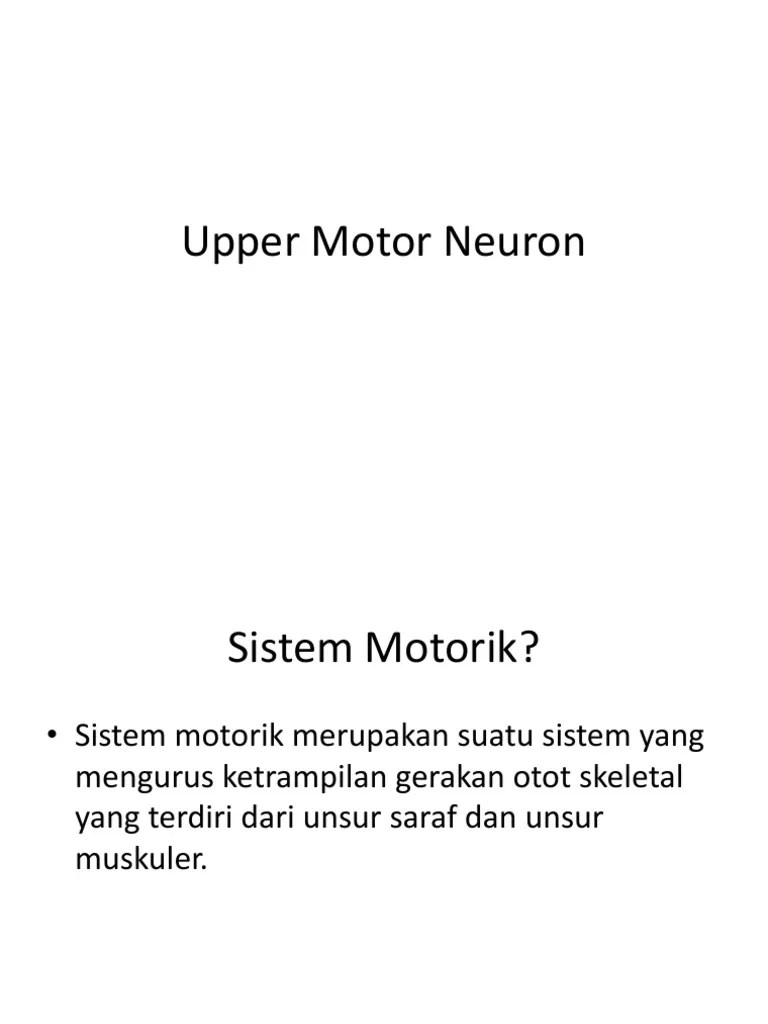Upper Motor Neuron | PDF