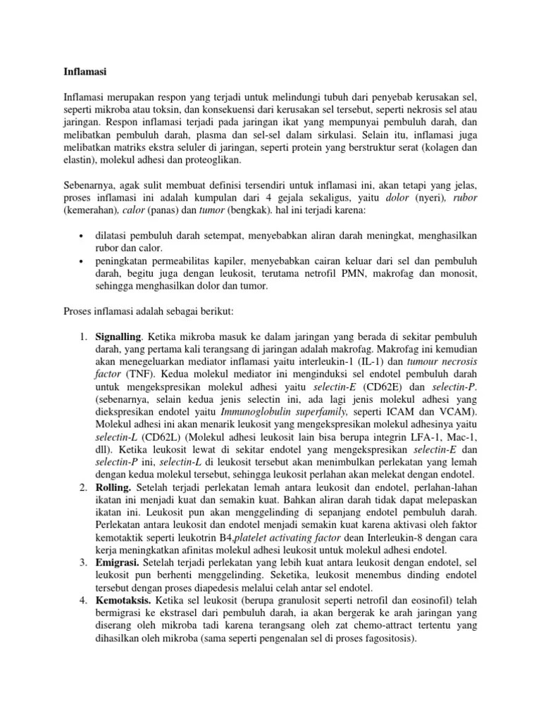 Inflamasi | PDF