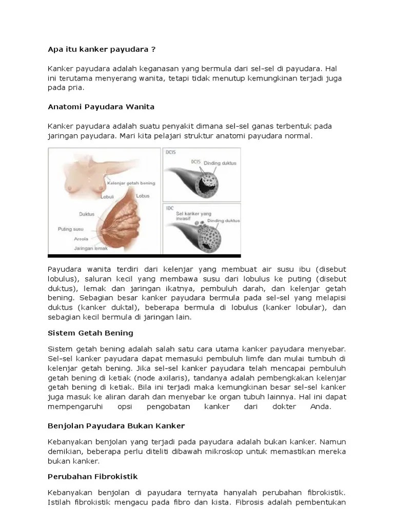 Kanker Payudara | PDF