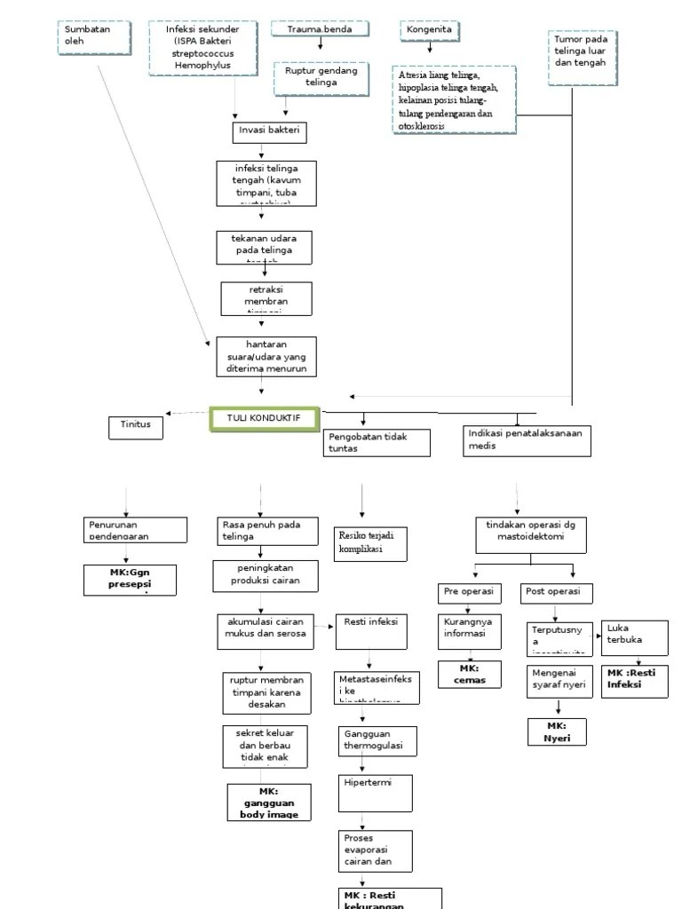 Pathway Tuli Konduktif | PDF