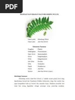 Belimbing Wuluh | PDF