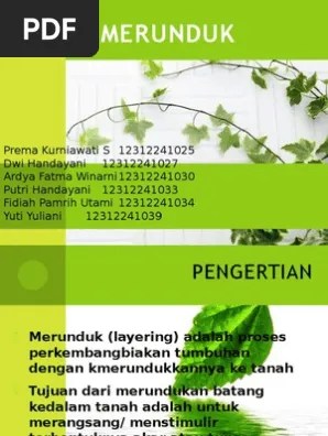 MERUNDUK | PDF