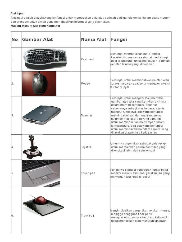 Alat Input, Output, Dan Proses Komputer - Sweetestplace | PDF