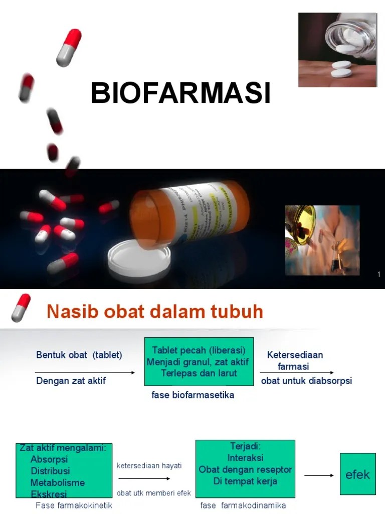 2 Perjalanan &amp; Nasib Obat DLM Tubuh | PDF