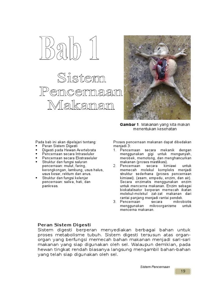 1 SistemPencernaan | PDF