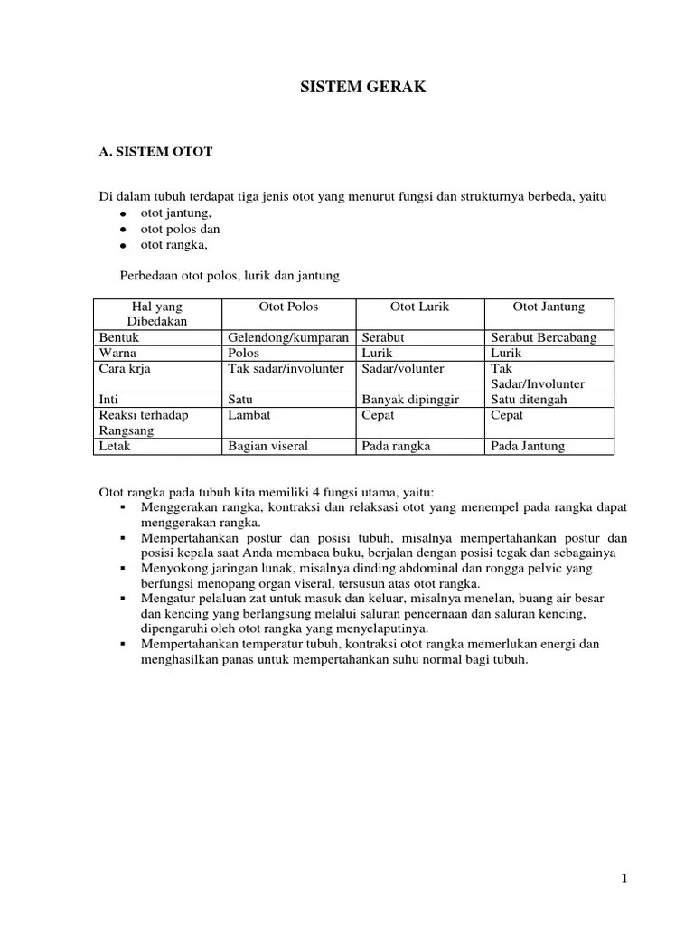 80 Gambar Bentuk Otot Polos Lurik Jantung Paling Bagus - Gambar Pixabay