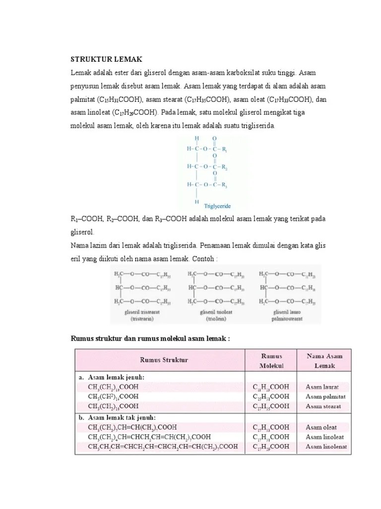 Tugas Kimia Organik - Struktur Lemak | PDF