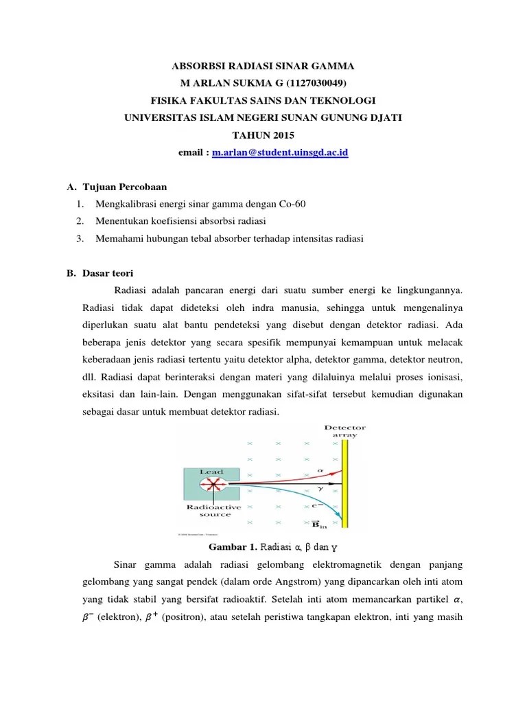Absorbsi Radiasi SinarGamma | PDF
