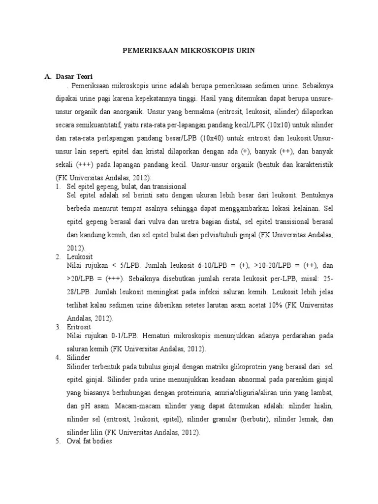 Pemeriksaan Mikroskopis Urin | PDF