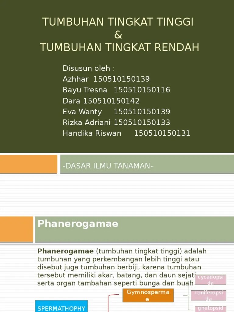 Tumbuhan Tingkat Tinggi | PDF