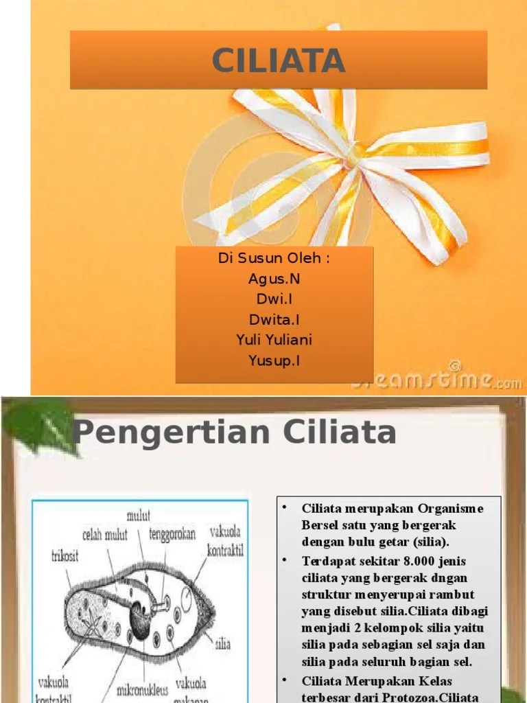 Power Point Ciliata Jadi | PDF