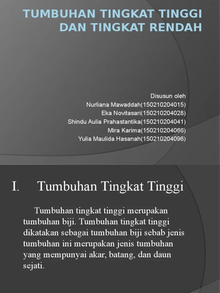 Contoh Soal Struktur Tumbuhan Tingkat Tinggi