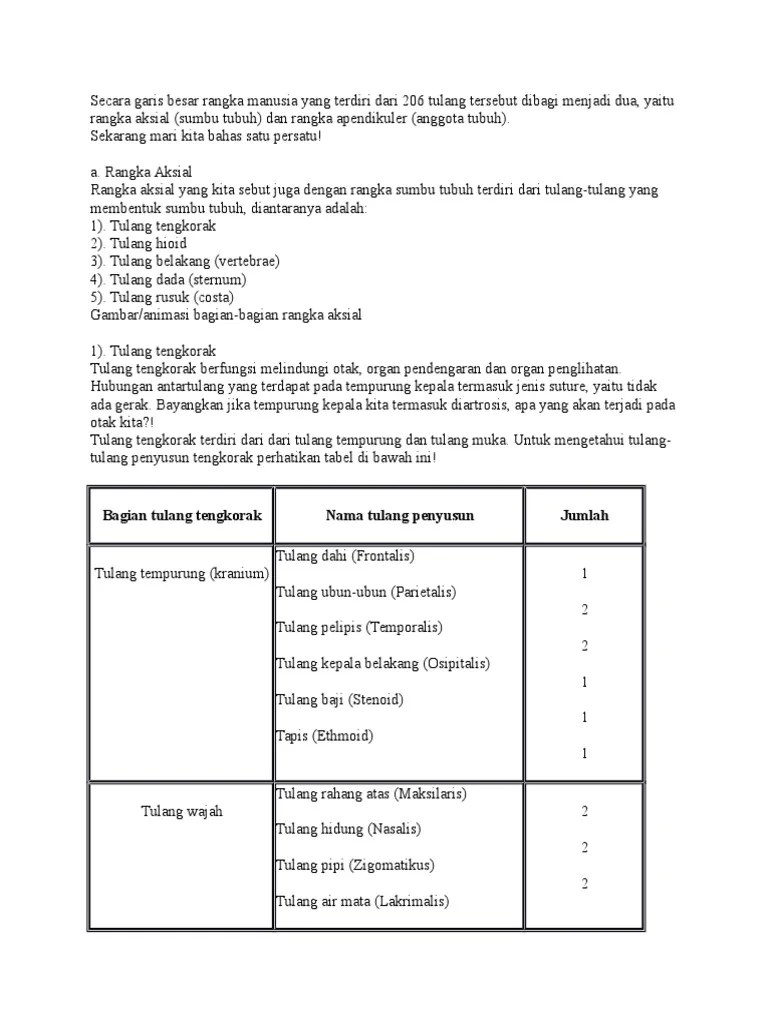 Rangka Manusia | PDF