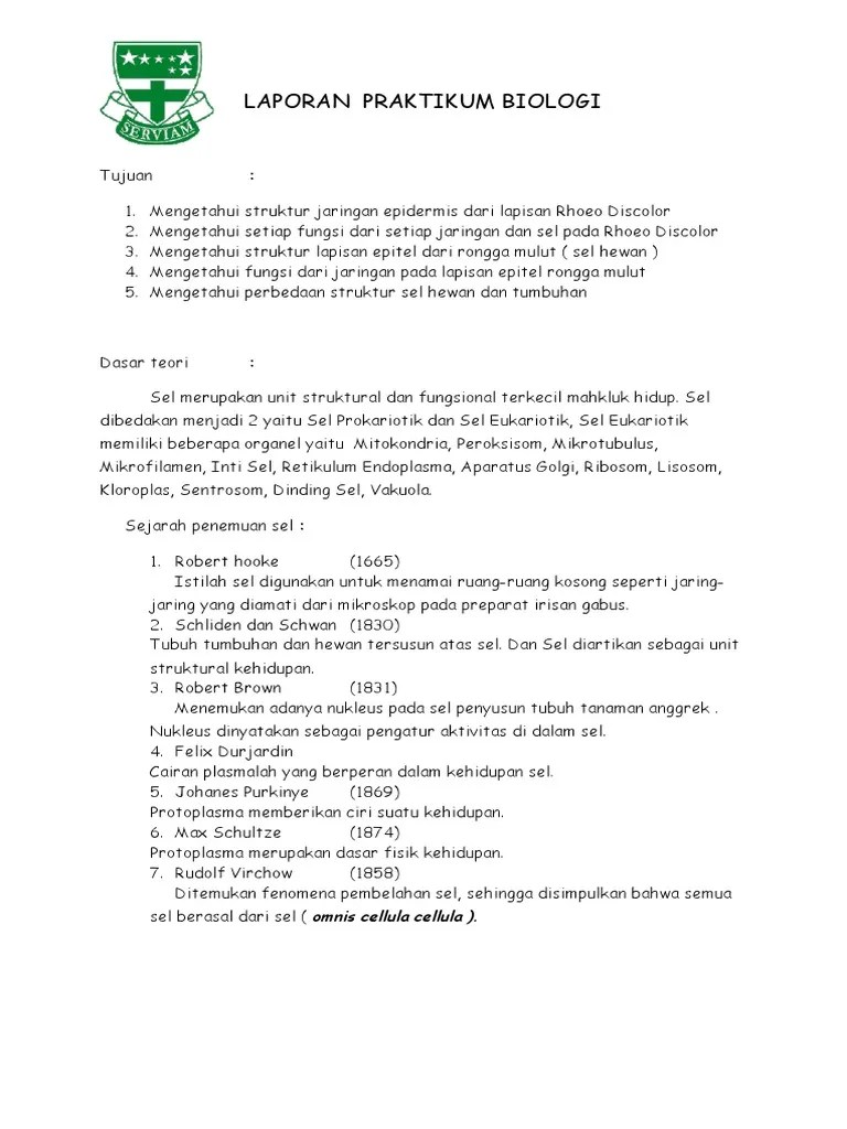 Laporan Pengamatan Daun Rhoeo Discolor | PDF