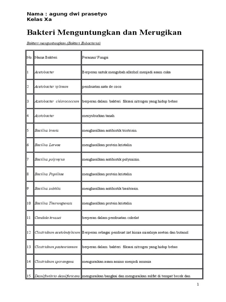 Bakteri Menguntungkan Dan Merugikan | PDF