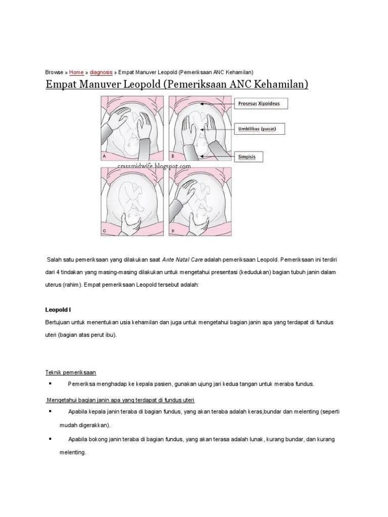 Empat Manuver Leopold (Pemeriksaan ANC Kehamilan) : Home Diagnosis | PDF