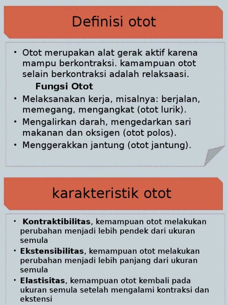 Otot | PDF