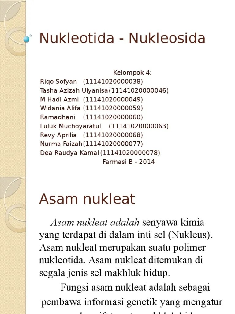 BIOKIMIA Nukleotida Nukleosida | PDF