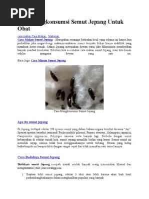 Cara Mengkonsumsi Semut Jepang Untuk Obat | PDF