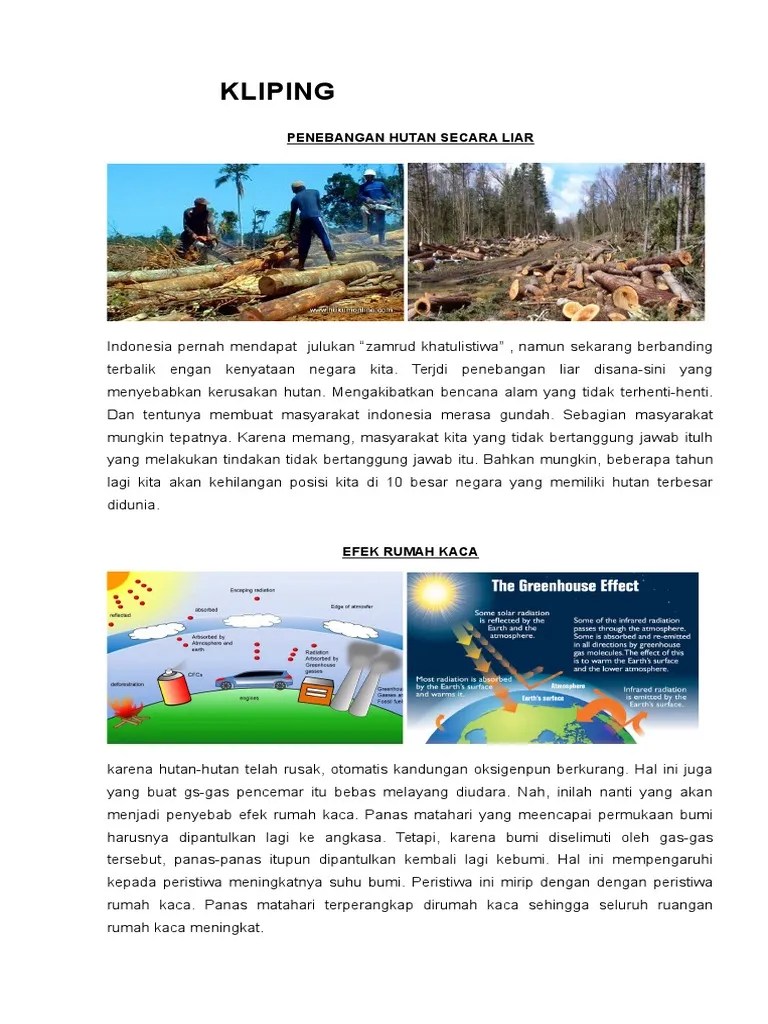 Kliping Lingkungan Hidup | PDF