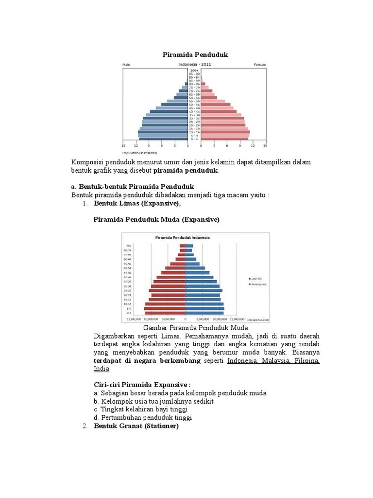 Piramida Penduduk (Umum) | PDF