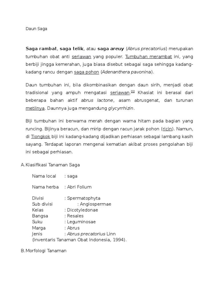 Daun Saga | PDF