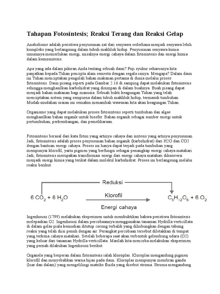 Tahapan Fotosintesis Reaksi Terang Dan Reaksi Gelap | PDF