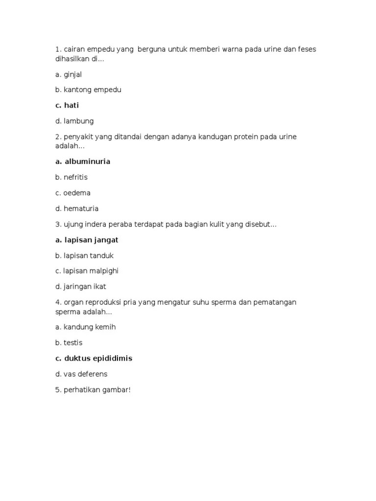 Ujung Indera Peraba Terdapat Pada Bagian Kulit Yang Disebut - Sebutkan  Mendetail