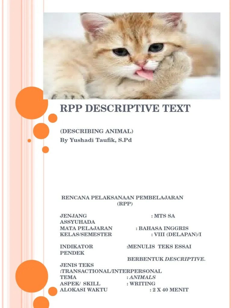 Alif Presentation | PDF