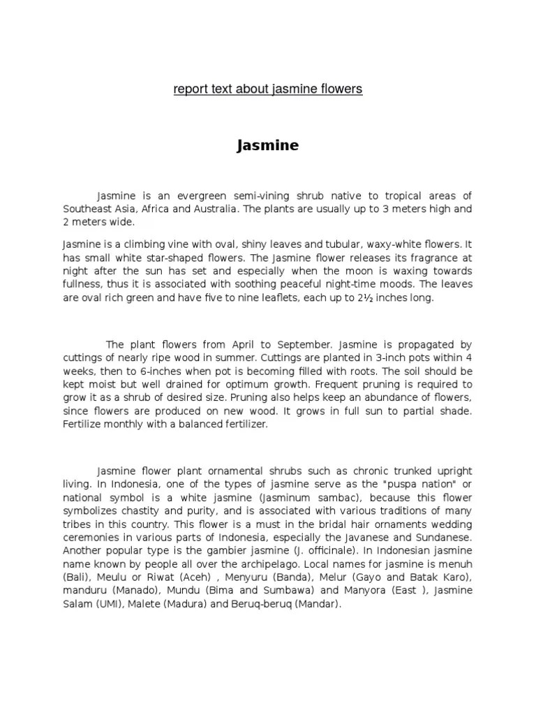 Contoh Report Text Tentang Tumbuhan Beserta Generic Structure