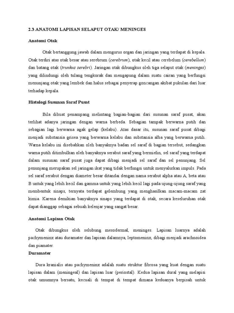 Anatomi Lapisan Selaput Otak | PDF