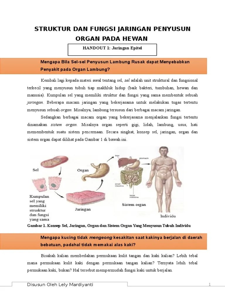 Handout Belajar 1 | PDF